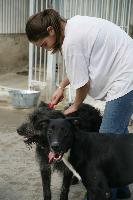 Foto Voluntario 1